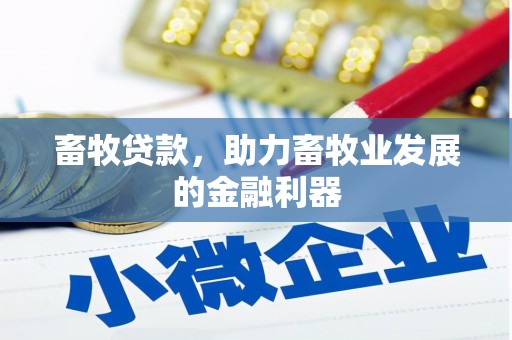 新罗畜牧贷款，助力畜牧业发展的金融利器