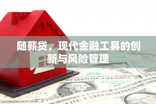新罗随薪贷，现代金融工具的创新与风险管理