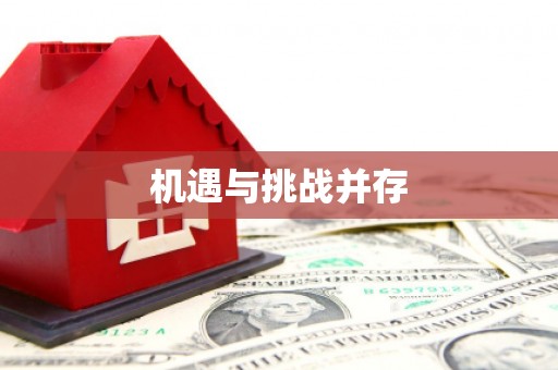 新罗机遇与挑战并存