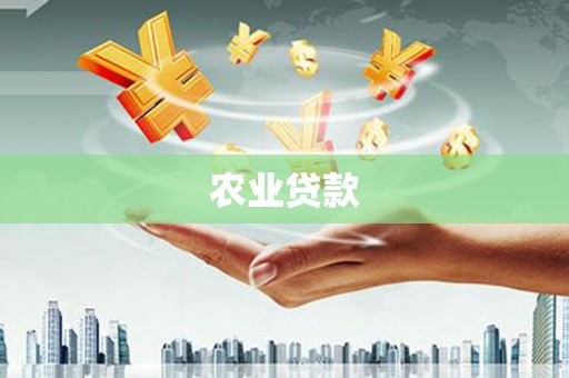 新罗农业贷款