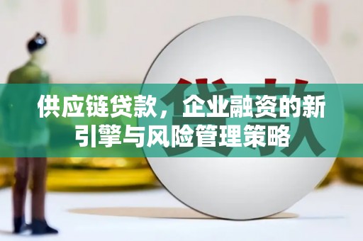 新罗供应链贷款，企业融资的新引擎与风险管理策略