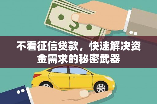新罗不看征信贷款，快速解决资金需求的秘密武器