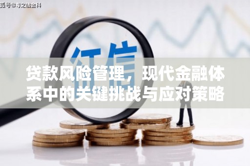 新罗贷款风险管理，现代金融体系中的关键挑战与应对策略