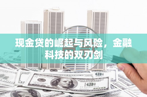 新罗现金贷的崛起与风险，金融科技的双刃剑