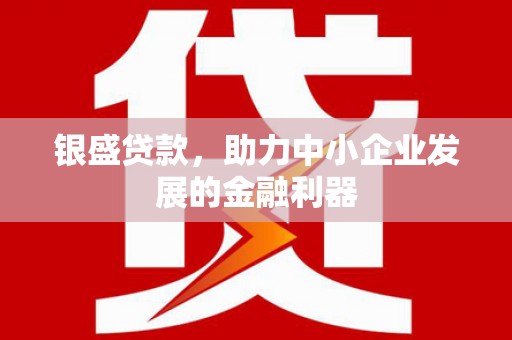 新罗银盛贷款，助力中小企业发展的金融利器