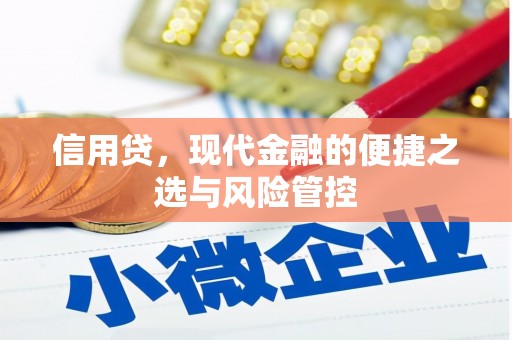 新罗信用贷，现代金融的便捷之选与风险管控