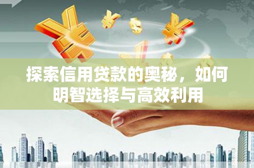 新罗探索信用贷款的奥秘，如何明智选择与高效利用