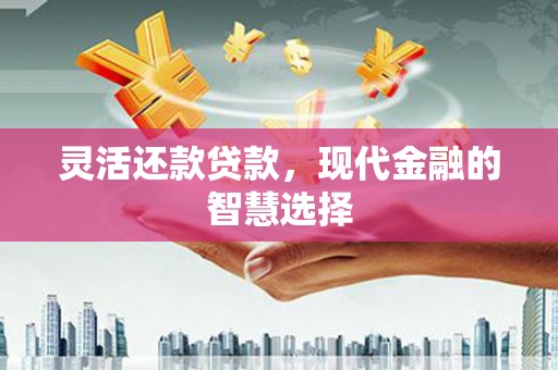 新罗灵活还款贷款，现代金融的智慧选择