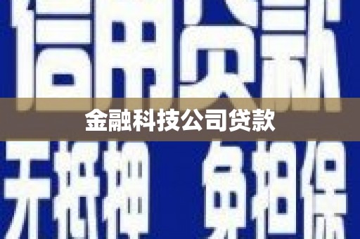新罗金融科技公司贷款