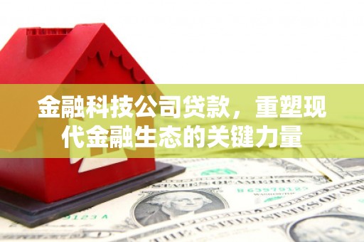 新罗金融科技公司贷款，重塑现代金融生态的关键力量