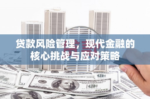 新罗贷款风险管理，现代金融的核心挑战与应对策略