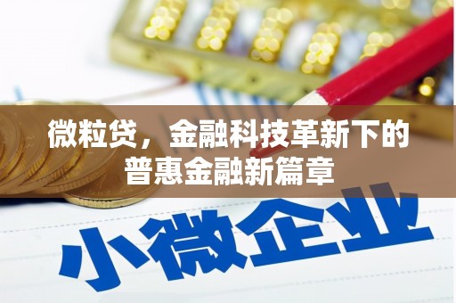 新罗微粒贷，金融科技革新下的普惠金融新篇章