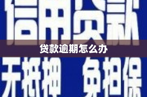 新罗贷款逾期怎么办
