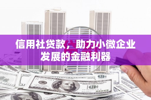 新罗信用社贷款，助力小微企业发展的金融利器