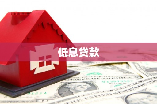 新罗低息贷款