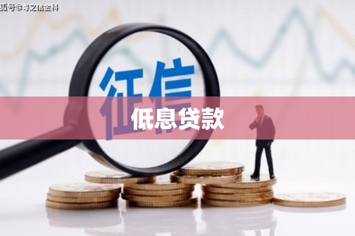 新罗低息贷款