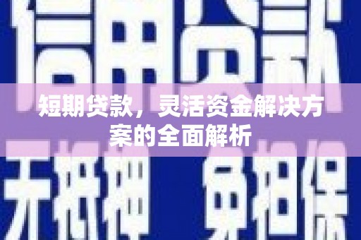 新罗短期贷款，灵活资金解决方案的全面解析