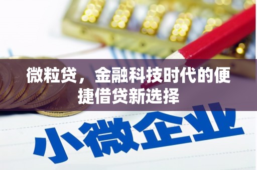 新罗微粒贷，金融科技时代的便捷借贷新选择