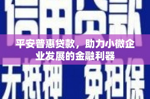 新罗平安普惠贷款，助力小微企业发展的金融利器