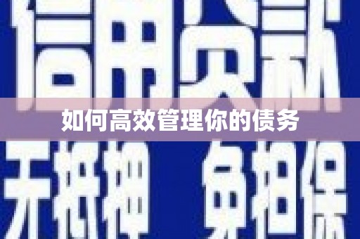 新罗如何高效管理你的债务