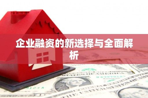 新罗企业融资的新选择与全面解析