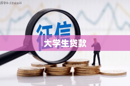 新罗大学生贷款