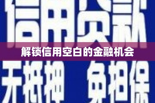 新罗解锁信用空白的金融机会