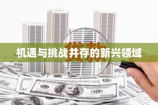 新罗机遇与挑战并存的新兴领域
